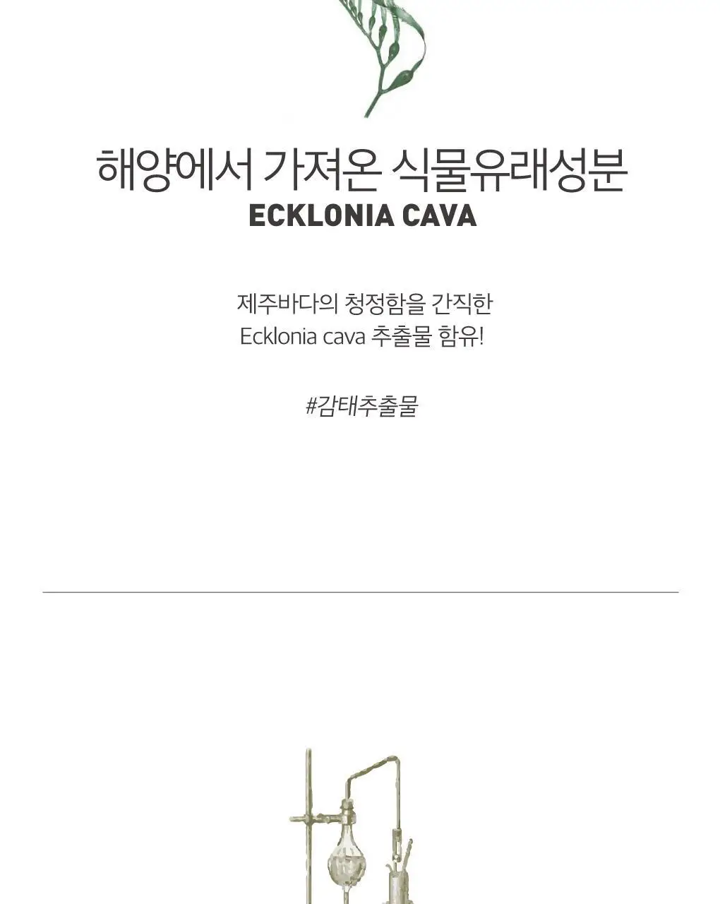 [구취케어] 루치펠로 미스틱포레스트 치약 100g 상세페이지 8